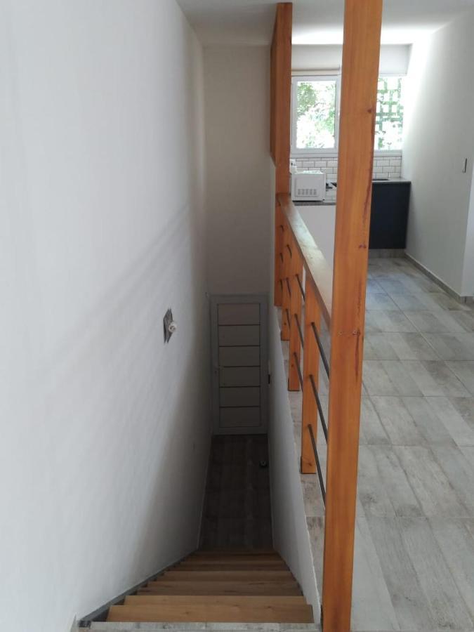 Aires De La Costa Renovado Neuquen